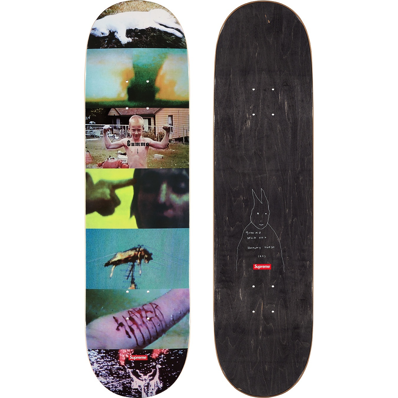 Gummo Skateboard view 2